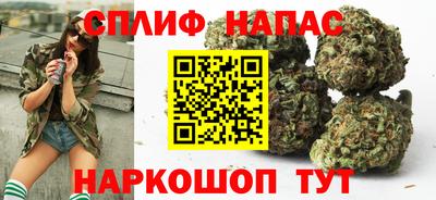 МДПВ Владикавказ