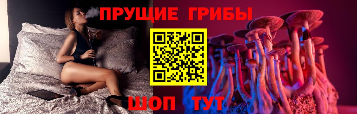 Галлюциногенные грибы мухоморы  Вход с VPN  Архангельск  Галлюциногенные грибы Psilocybe 